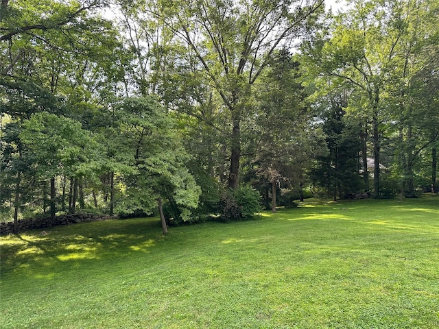 8 Maclean Dr, Pound Ridge, NY 10576 - view of grassy yard