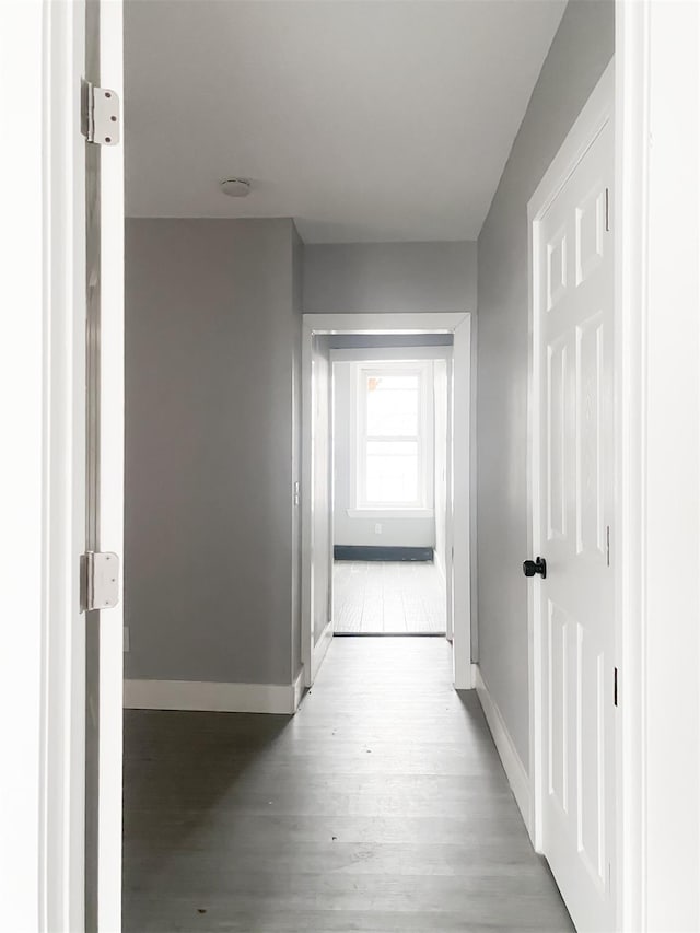 12 Liberty St, Newburgh, NY 12550 - hall with wood finished floors and baseboards