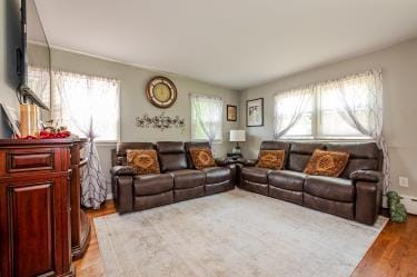 20 Wainwright St, Ronkonkoma, NY 11779 - living room with healthy amount of natural light and wood finished floors