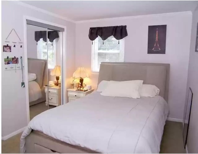 20 Wainwright St, Ronkonkoma, NY 11779 - bedroom with multiple windows