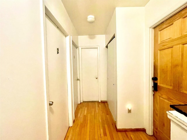 657 Snediker Ave, Brooklyn, NY 11207 - photo 2