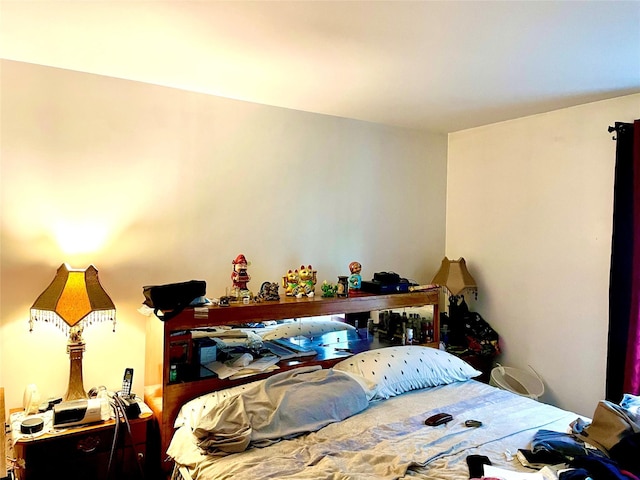 657 Snediker Ave, Brooklyn, NY 11207 - photo 14