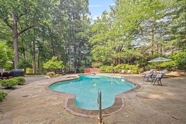 17 Dunmore Rd, New City, NY 10956 - swimming pool featuring a patio area