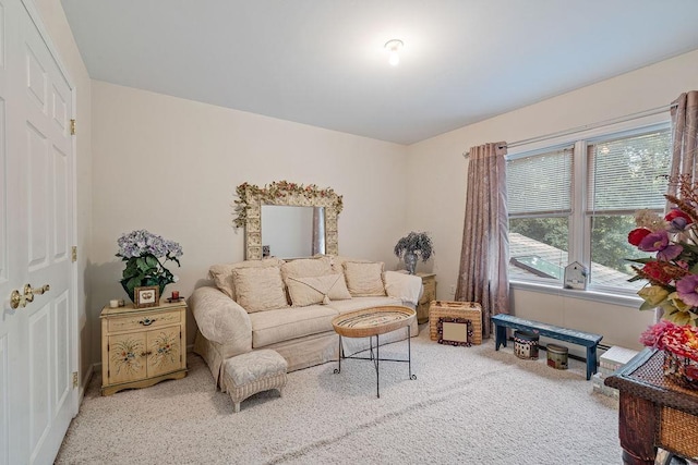 17 Dunmore Rd, New City, NY 10956 - view of carpeted living area