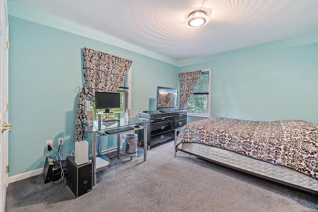17 Dunmore Rd, New City, NY 10956 - carpeted bedroom with ornamental molding and baseboards