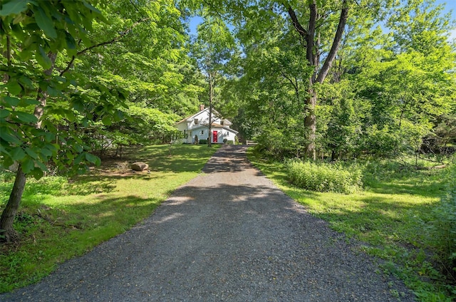 62 Guymard Tpke, Godeffroy, NY 12729 - view of dirt / gravel driveway