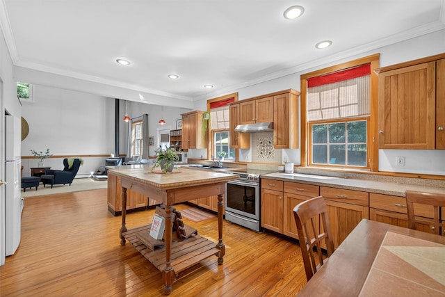 62 Guymard Tpke, Godeffroy, NY 12729 - kitchen with stainless steel electric range oven, under cabinet range hood, healthy amount of natural light, light countertops, and recessed lighting