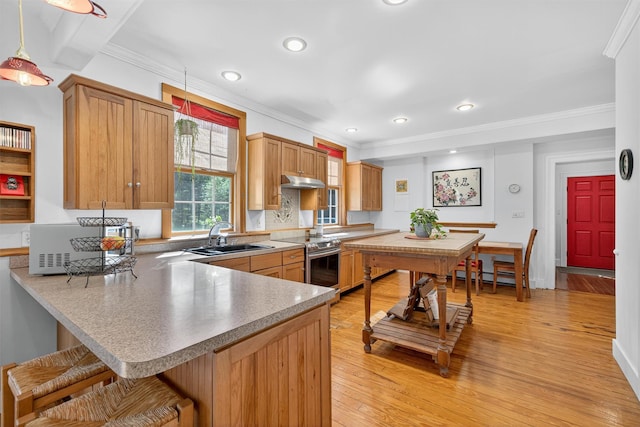 62 Guymard Tpke, Godeffroy, NY 12729 - kitchen with stainless steel electric range, ornamental molding, a kitchen breakfast bar, light wood finished floors, and a peninsula