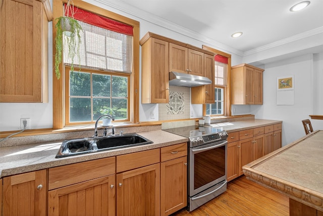 62 Guymard Tpke, Godeffroy, NY 12729 - kitchen featuring stainless steel electric stove, under cabinet range hood, ornamental molding, light wood-style flooring, and light countertops