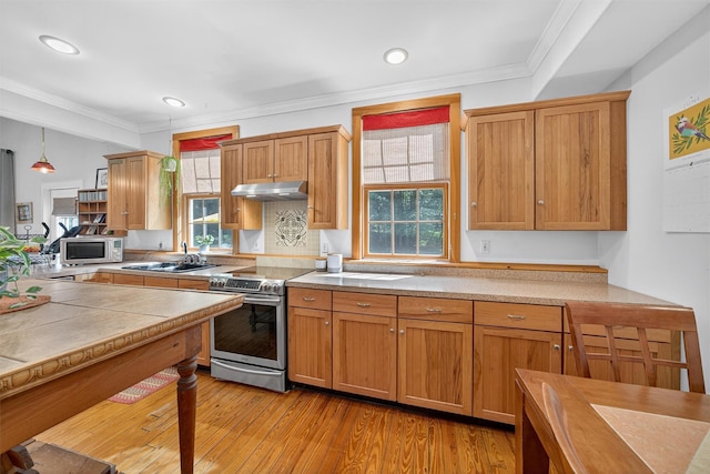 62 Guymard Tpke, Godeffroy, NY 12729 - kitchen featuring stainless steel appliances, under cabinet range hood, healthy amount of natural light, light countertops, and ornamental molding