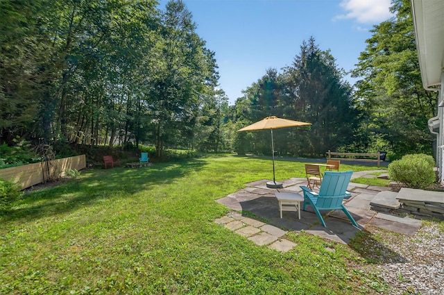 62 Guymard Tpke, Godeffroy, NY 12729 - view of grassy yard featuring a patio