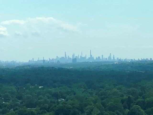 5 Renaissance Sq Unit Ph6C, White Plains, NY 10601 - view of city skyline with a forest