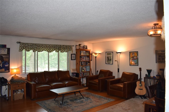 3905 Wild Berry Ct Unit 6C, Poughkeepsie, NY 12603 - living area with a textured ceiling and wood finished floors