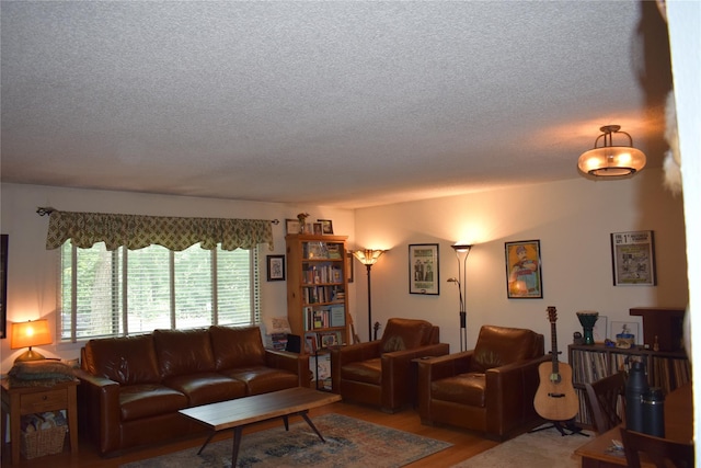 3905 Wild Berry Ct Unit 6C, Poughkeepsie, NY 12603 - living area with a textured ceiling and wood finished floors