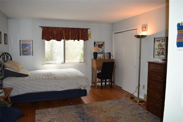 3905 Wild Berry Ct Unit 6C, Poughkeepsie, NY 12603 - bedroom with wood finished floors and a closet
