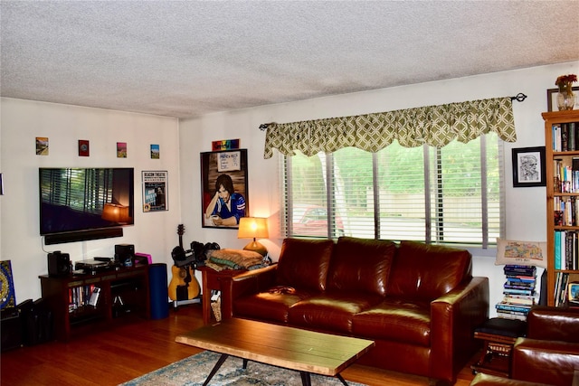 3905 Wild Berry Ct Unit 6C, Poughkeepsie, NY 12603 - living room with wood finished floors and a textured ceiling