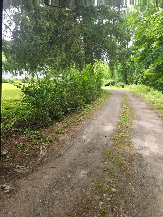 1225 Rte 52, Carmel, NY 10512 - photo 6
