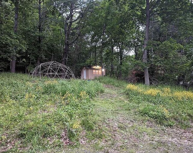 189 County Route 26, Coxsackie, NY 12042 - photo 2