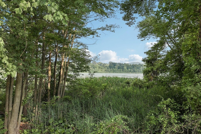 41 Whitman St, Congers, NY 10920 - view of tree filled area with a water view
