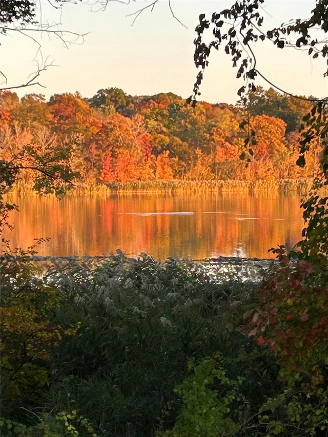 41 Whitman St, Congers, NY 10920 - water view featuring a heavily wooded area