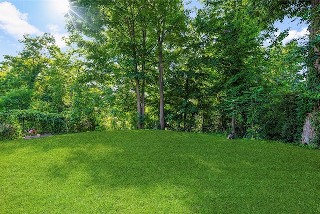 5 Putnam Ter, Brewster, NY 10509 - view of green lawn