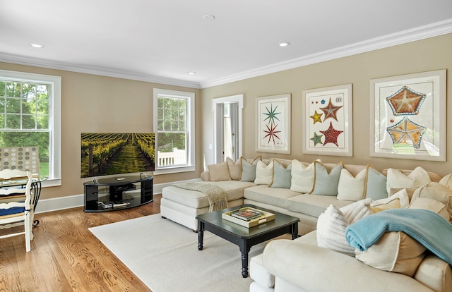 1 Simon Ct, Quogue, NY 11959 - living area with wood finished floors, healthy amount of natural light, ornamental molding, and recessed lighting