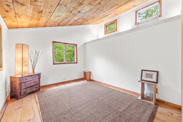 30 Hallenbach Rd, Glen Spey, NY 12737 - spare room with wood ceiling and wood-type flooring