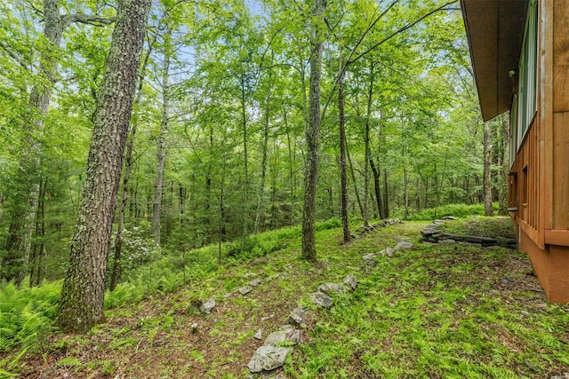 30 Hallenbach Rd, Glen Spey, NY 12737 - view of yard featuring a wooded view