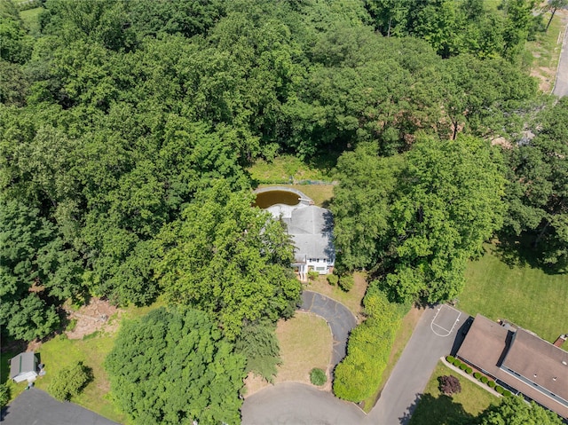 10 Salem Ct, Spring Valley, NY 10977 - aerial view of property's location