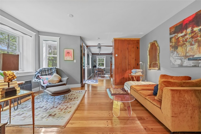 210 Foggintown Rd, Brewster, NY 10509 - living area featuring light wood-type flooring and radiator