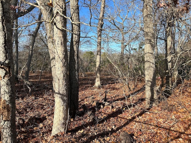 267 Old Country Rd, Eastport, NY 11941 - photo 4