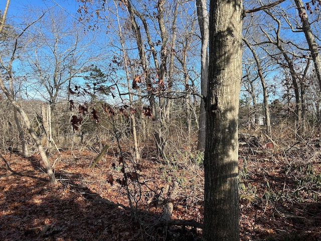 267 Old Country Rd, Eastport, NY 11941 - photo 5