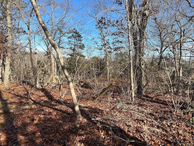 267 Old Country Rd, Eastport, NY 11941 - photo 6