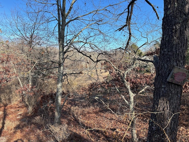267 Old Country Rd, Eastport, NY 11941 - photo 8