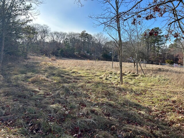 267 Old Country Rd, Eastport, NY 11941 - photo 14