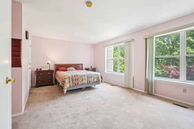 12 Deer Ct Dr, Middletown, NY 10940 - carpeted bedroom with baseboards