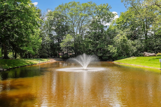 12 Deer Ct Dr, Middletown, NY 10940 - water view