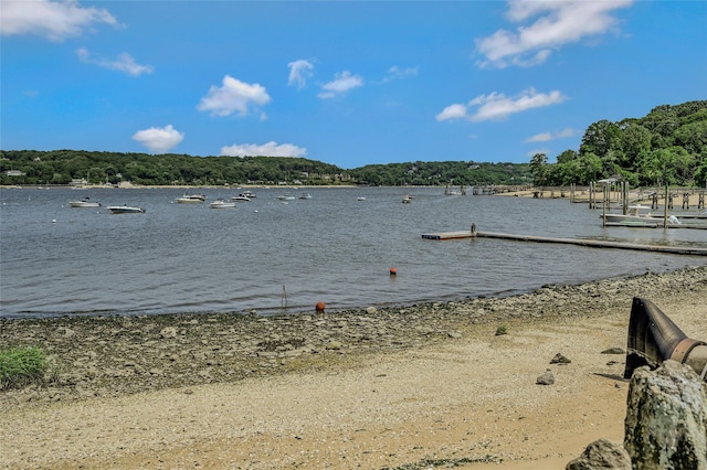 1537 Laurel Hollow Rd, Laurel Hollow, NY 11791 - water view with a boat dock and a forest