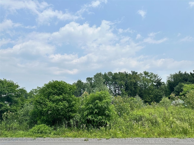 27 Broadway Rd, Saugerties, NY 12477
