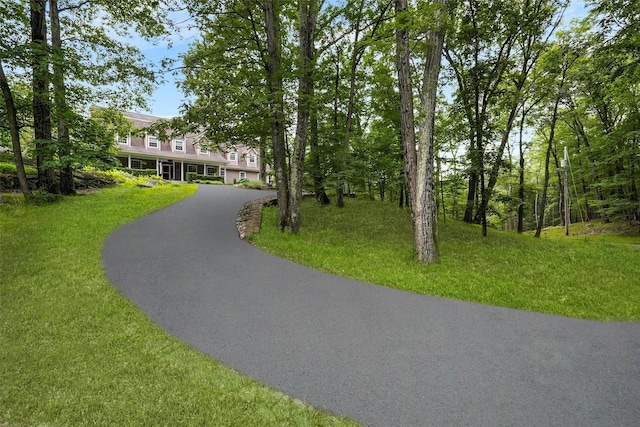 114 Bulsontown Rd, Stony Point, NY 10980 - surrounding community featuring driveway and a lawn