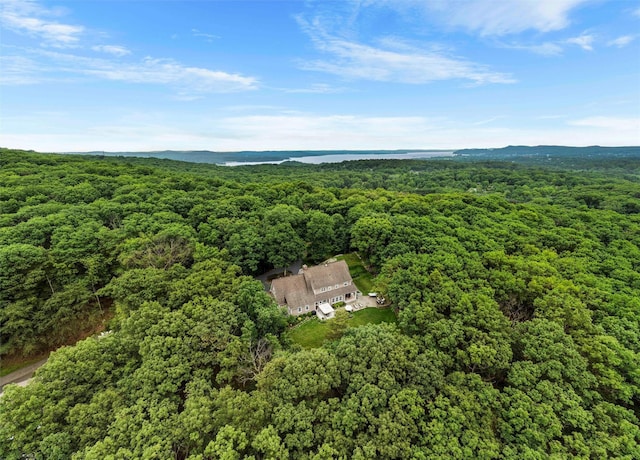 114 Bulsontown Rd, Stony Point, NY 10980 - aerial view of property and surrounding area with a forest