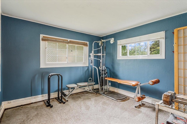 49 Radcliff Ave, Port Washington, NY 11050 - exercise room with carpet floors and baseboards