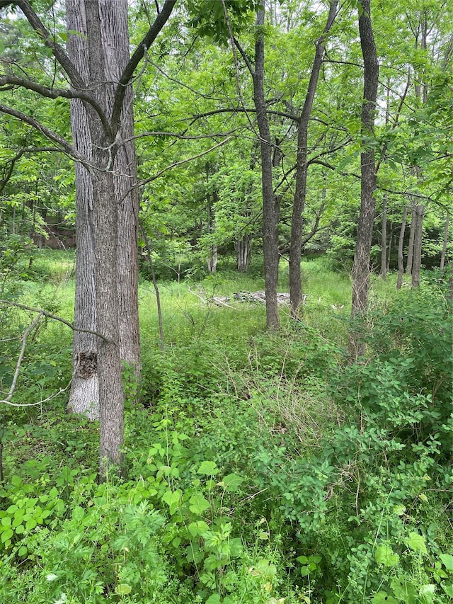 50 Pleasure Dr, Harris, NY 12742 - photo 9