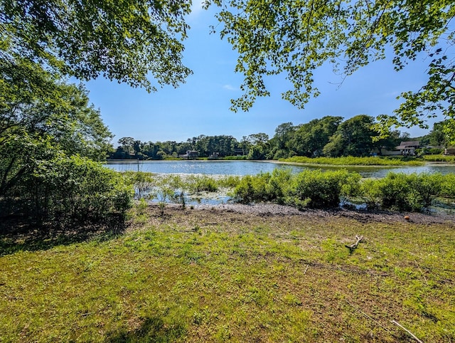 501 Lake Ct Unit 501, Middle Island, NY 11953 - photo 2