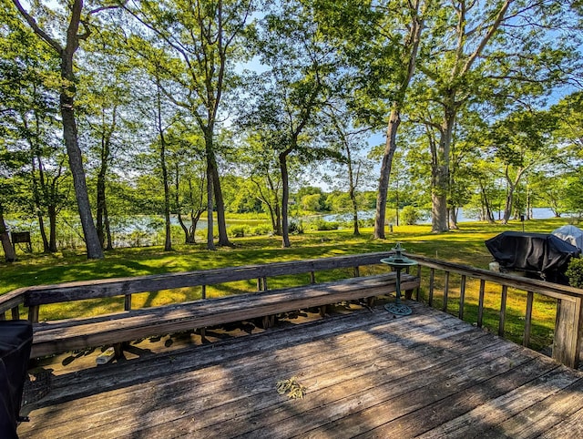 501 Lake Ct Unit 501, Middle Island, NY 11953 - photo 18