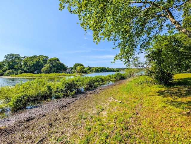 501 Lake Ct Unit 501, Middle Island, NY 11953 - photo 19