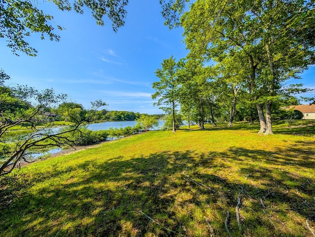 501 Lake Ct Unit 501, Middle Island, NY 11953 - photo 20