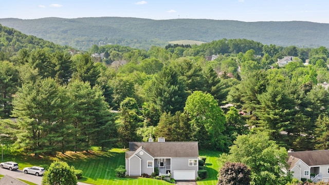 29 Underhill Rd N, Poughquag, NY 12570 - view of mountain background featuring a forest