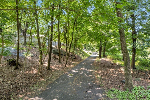 23 Gracemere, Tarrytown, NY 10591 - view of road