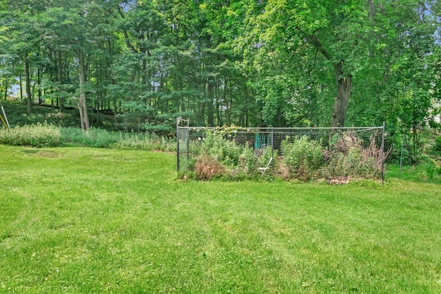 23 Gracemere, Tarrytown, NY 10591 - view of grassy yard